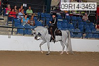 09r14-3453 proof