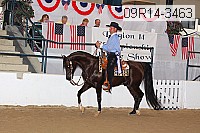 09r14-3463 proof
