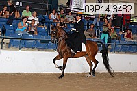 09r14-3482 proof