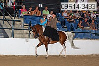 09r14-3483 proof