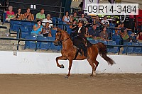 09r14-3484 proof