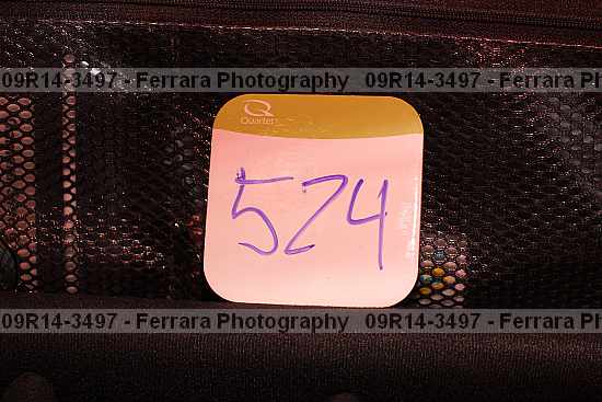 Proof 09r14-3497