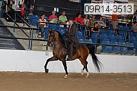 09r14-3513 proof