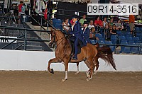 09r14-3516 proof