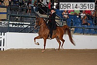 09r14-3518 proof