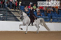 09r14-3520 proof