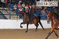 09r14-3522 proof