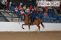 09r14-3524 proof