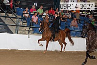 09r14-3527 proof