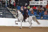 09r14-3528 proof