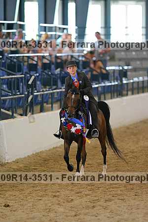 Proof 09r14-3531