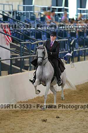 Proof 09r14-3533