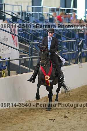 Proof 09r14-3540