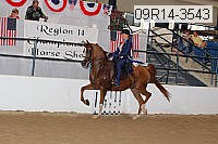 09r14-3543 proof