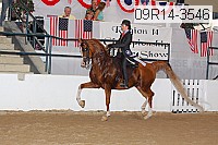 09r14-3546 proof