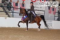 09r14-3548 proof