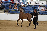 09r14-3549 proof