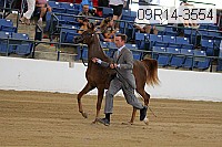 09r14-3554 proof