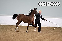 09r14-3556 proof