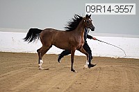 09r14-3557 proof