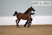09r14-3559 proof