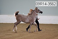 09r14-3562 proof