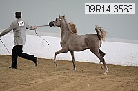 09r14-3563 proof