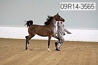 09r14-3565 proof