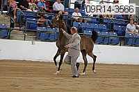 09r14-3566 proof