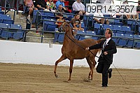 09r14-3567 proof