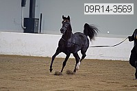 09r14-3569 proof