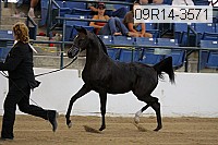 09r14-3571 proof