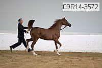 09r14-3572 proof