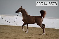 09r14-3573 proof