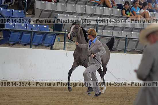 Proof 09r14-3574