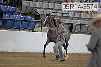 09r14-3574 proof