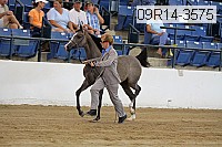 09r14-3575 proof