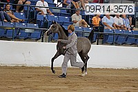 09r14-3576 proof