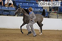 09r14-3577 proof
