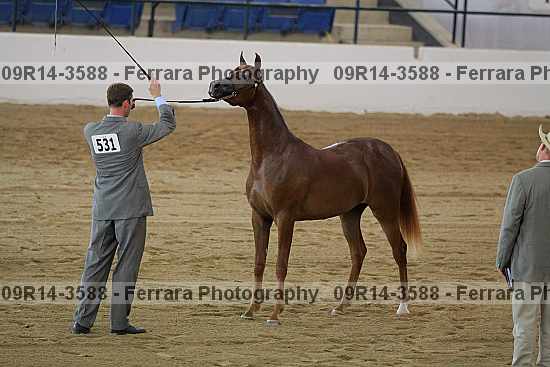 Proof 09r14-3588