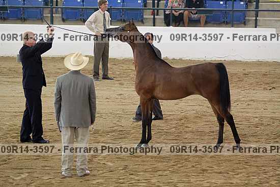 Proof 09r14-3597