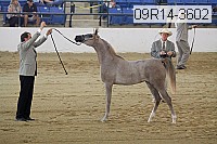 09r14-3602 proof