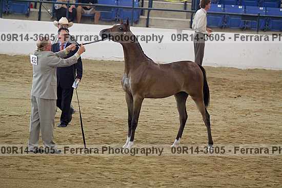 Proof 09r14-3605