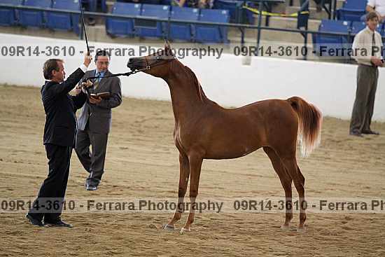 Proof 09r14-3610