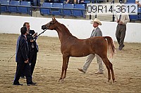 09r14-3612 proof