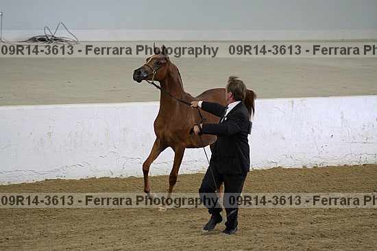 Proof 09r14-3613