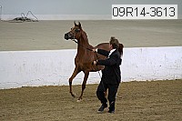 09r14-3613 proof