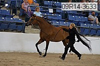 09r14-3633 proof