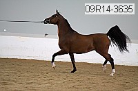 09r14-3635 proof