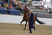 09r14-3637 proof
